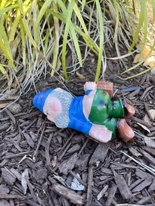 US Stock Funny Garden Gnome Statue Resin Home Lawn Ornament Sculpture Decor - Picture 1 of 4