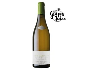 NICOLETTA DE FERMO DON CARLINO PECORINO 2022 VINO BIANCO BIO COLLINE PESARESI - Imagen 1 de 1