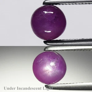 💎 1,13ct runder natürlicher lila roter 6 Strahlen Stern Rubin - unbeheizter Guinea Edelstein - Bild 1 von 6