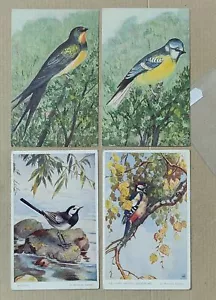 VOGEL UCCELLO - LOT 4 ORIGINAL VINTAGE POSTKARTEN - C75-196 - Bild 1 von 1