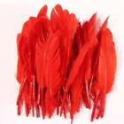 Tiny Goose Pointer Feathers 10 grams - Red
