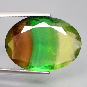 18.55 Cts ROMANTIC (20 x 15 mm) 100% NATURAL OVAL CUT BI-COLOR FLOURITE GEMSTONE - Picture 1 of 7