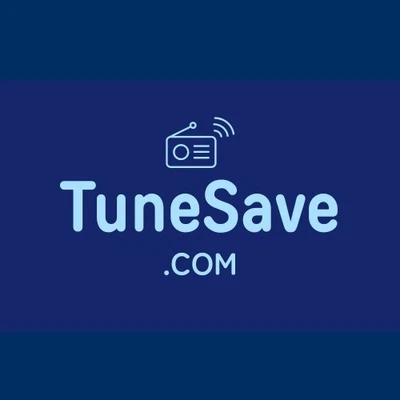 TuneSave .com / Domains For Sale / Business Brand, Website Name / Porkbun - Image 1 of 2