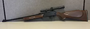 Daisy Powerline 880 .177 Cal BB Pellet Gun TESTED - Picture 1 of 12