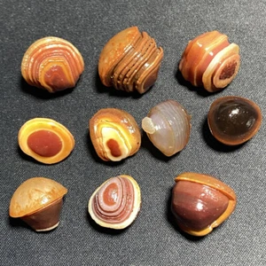 10Pcs Natural Gobi Agate Spiral Pattern Eyes Agate Beads Collection Specimen - Imagen 1 de 4