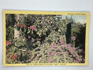 Postcard Scene of Tropical Beauty at McAllen Flowers Wild Garden Texas H295 - Picture 1 of 2
