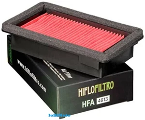 ELEMENTO FILTRANTE FILTRO ARIA HIFLO HFA4613 YAMAHA XT 660 R/X 2005/2016 - Foto 1 di 2