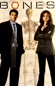 Bones: The Complete First Season (DVD 4 DISC) Series 1 One - REGION 1 - Picture 1 of 6