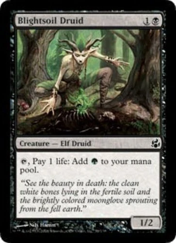 Morningtide - Blightsoil Druid - Foil - Image 1 of 1