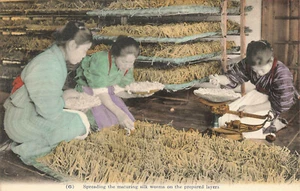 Postal japonesa ""Spreading The Maturing Silkworms - Imagen 1 de 2