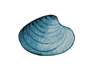 Piccolo ferro da stiro conchiglia blu oceano su toppa 1,25" nuovo - Foto 1 di 4