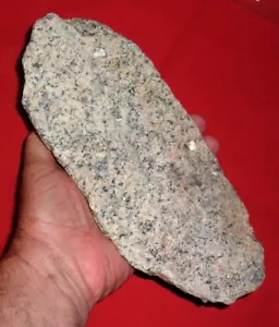 "Bonita (10") piedra de moler de granito neolítico del Sahara, artefacto africano prehistórico - Imagen 1 de 5