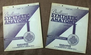 CHEESMAN, BAILLIERE'S SYNTHETIC ANATOMY PART IX & XIII MEDICAL ATLAS TRANSLUCENT - Picture 1 of 1