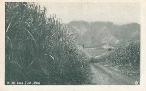 1930er Jahre gedruckt Kodak von Hawaii, Zuckerrohrfeld auf Maui - Bild 1 von 2