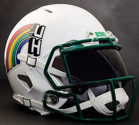 *CUSTOM* HAWAII RAINBOW WARRIORS NCAA Riddell Speed AUTHENTIC Football Helmet Cover