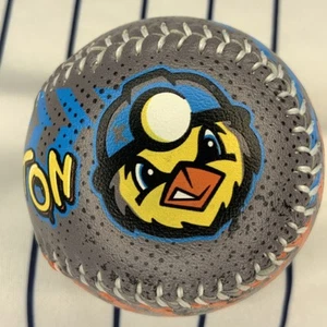 Charleston Dirtybirds Independent League Souvenir Baseball ball - Picture 1 of 6
