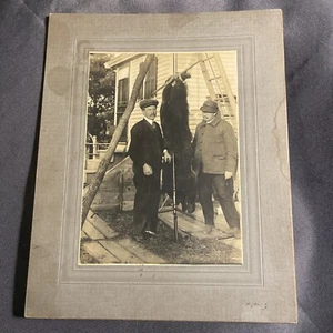 Antikes Foto Jagdszene Bär & Gewehr Kabinett Karte Photo - Bild 1 von 10