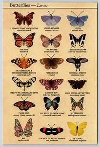 Postal Mariposa Historia Natural Botánico Lepidóptero Mariposas Amante - Imagen 1 de 2