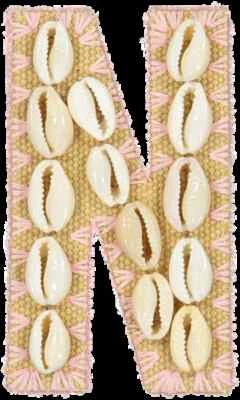 NEW Stoney Clover Lane LARGE 3.5" N Letter Sticker PATCH Natural Pink SHELL s - Image 1 of 3