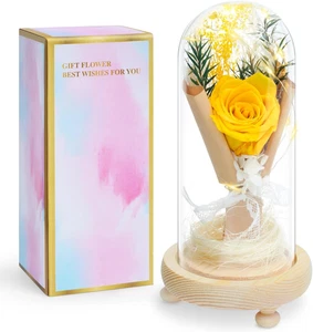 Preserved Rose Gifts for Women, Forever Flowers Real Roses in Glass Dorm, Birthd - Picture 1 of 12