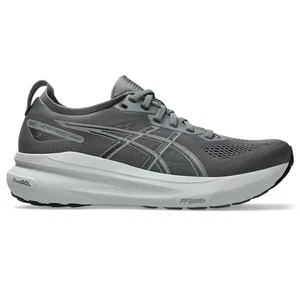 Hombre Asics Gel-Kayano 31, Gris Acero/Gris Piamonte, 11.5 4E Extra Ancho EE. UU. - Imagen 1 de 1