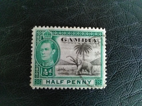GAMBIA USED STAMP 1938-46  KGV1  ELEPHANT  1/2d GREEN BLACK SG150 Cover