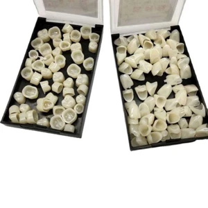Teeth Set Resin Dental Temporary Crown Anterior 70x Front 50x Back Tooth Molar - Picture 1 of 14