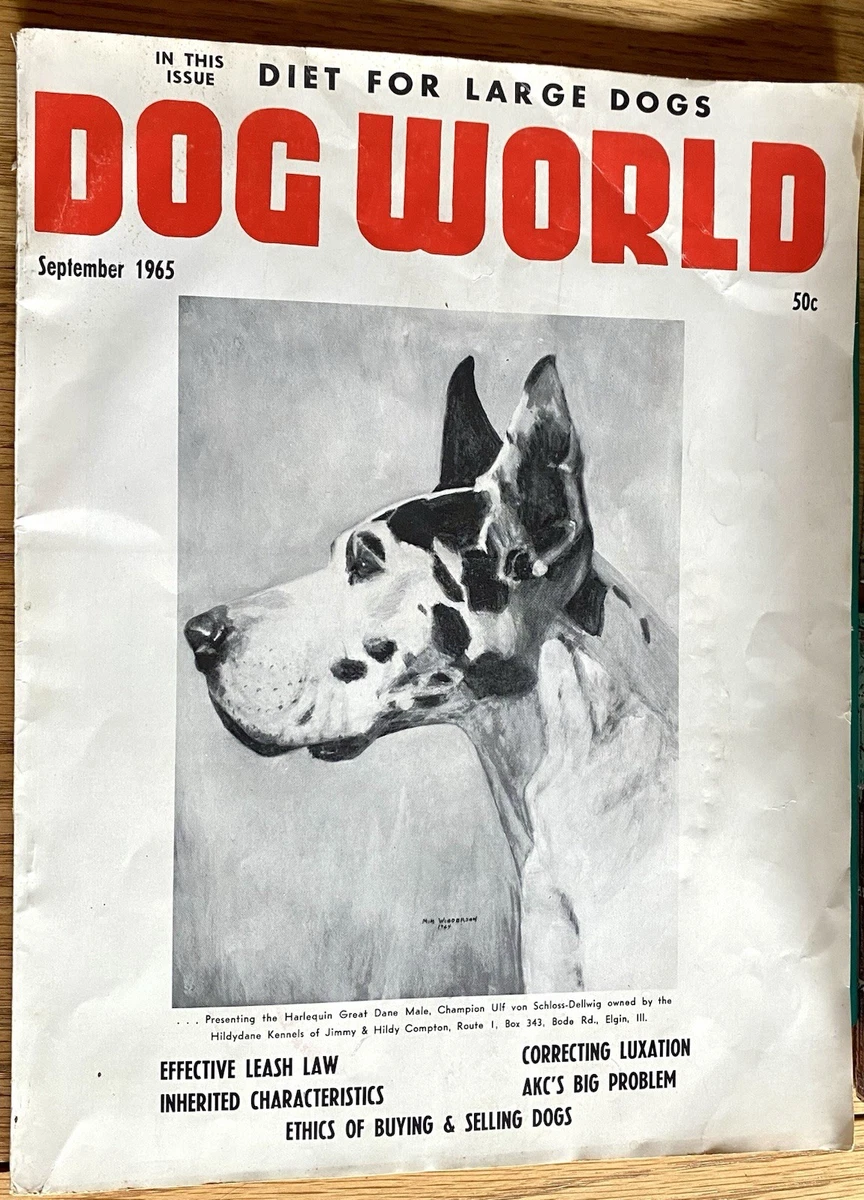 狗花式1940-1979 个| eBay