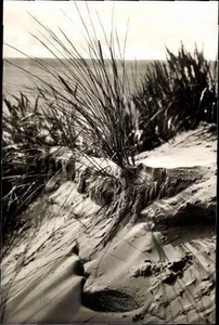 10 postales antiguas Borkum, varias vistas - 31120 - Imagen 1 de 10