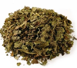 Hierba orgánica a granel seca a hoja de higuera, ficus carica folia - Imagen 1 de 7