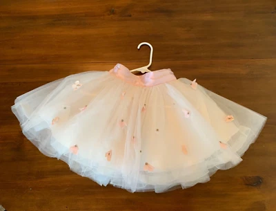 Pottery barn Kids Size 3-6 Years / Lhuillier TuTu / Halloween Fairy Ballerina - Image 1 of 4