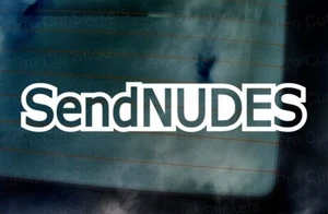 ENVIAR DESNUDOS Divertida Novedad Internet Meme Coche Vinilo Troqueado Pegatinas Calcomanías ref:8 - Imagen 1 de 2