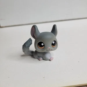 LPS Littlest Pet Shop #144 Chinchilla 2007 - Bild 1 von 4