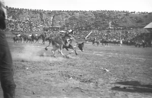 Ellensburg Rodeo Kittitas County Messegelände Stierfahrt 1920er Jahre Foto Negativ - Bild 1 von 1