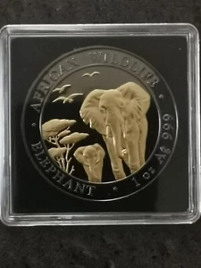 100 SCHILLING SILBER SOMALIA ELEFANT VERGOLDET UND RUTHENIUM / SILVER 5000 EX - Bild 1 von 4