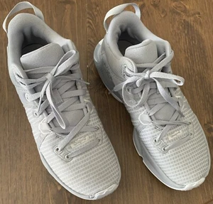 Size 9 - Nike LeBron Witness 7 TB Wolf Grey - Picture 1 of 5