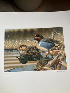 2005 NORTH CAROLINA - State Duck Stamp Print **GERALD PUTT** with Stamp - Picture 1 of 5