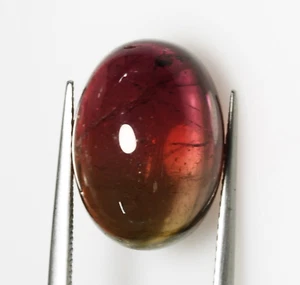 10.60 Cts Watermelon Bi Color Tourmaline Untreated Natural Gemstone Mozambique - Picture 1 of 2