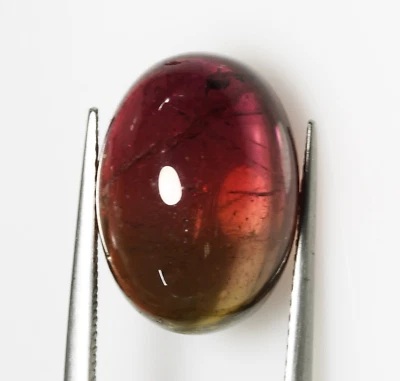 10.60 Cts Watermelon BiColor Tourmaline Cabochon Untreated Natural Gemstone - Image 1 of 2