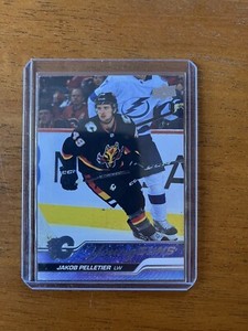 2023-24 Upper Deck Series 1 - Young Guns #208 Jakob Pelletier (RC)