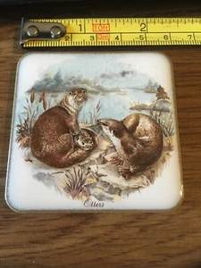 Vintage Magnet-  Otters !! - Picture 1 of 2