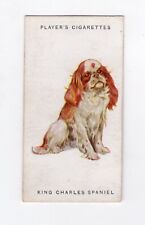 Dog Cigarette card 1931 #35 King Charles Spaniel