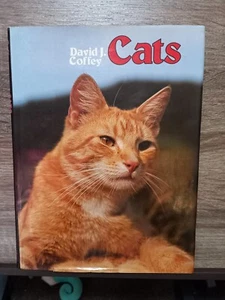 Cats - David J Coffey (Large Hardcover Illustrated 1978) Nelson Colour Library - Picture 1 of 12