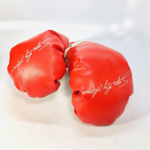 Vintage FRANKLIN SUGAR RAY LEONARD JR YOUTH KIDS SIZE BOXING GLOVES Cover