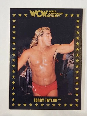 1991 WCW Championship Marketing Wrestling #33 Terry Taylor - Image 1 of 2