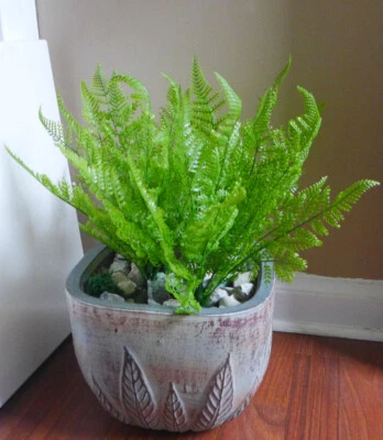 4 piezas de hierbas de helecho Boston verde plástico pequeño para plantas artificiales Foto 1 de 4