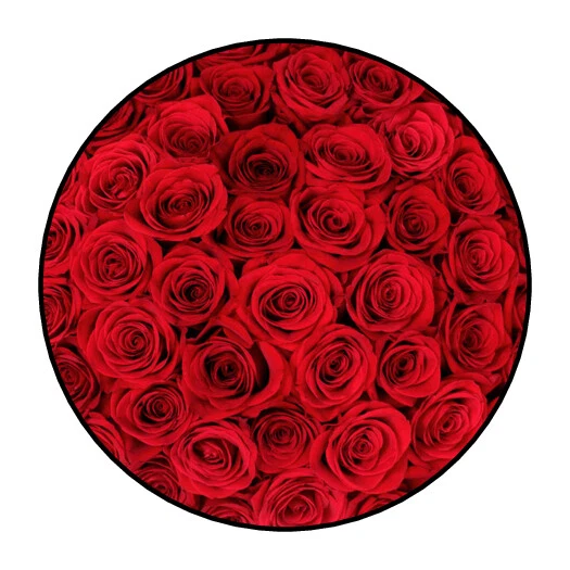 Pegatinas rosa roja, etiquetas, etiquetas, sobre boda sellos flores Foto 1 de 1