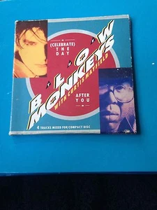 The Blow Monkeys (Celebrate) The Day After You CD Single - Foto 1 di 5