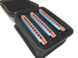 EASTTOP 10Hole Blues Diatonic Harmonica Set of 3 mouth organ set of A C G Gift - Picture 1 of 9