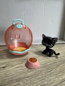 LPS #336 LITTLEST PETSHOP ORIGINAL AUTHENTIC CHAT EUROPEEN EUROPEAN CAT HASBRO - Picture 1 of 5